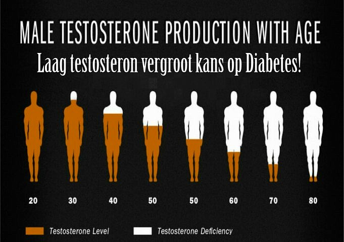 Wat U Moet Weten Over Testosteron